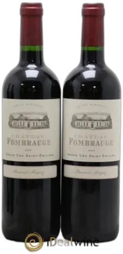 vue du vin Château Fombrauge