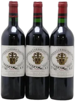 vue du vin Grand Poujeaux
