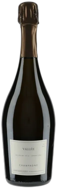 image du vin Champagne Grand Cru Vallée Monts Fournois