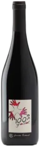 photo Www.Mon-Caviste.Net/Cdn/Shop/Products/Domainelesgrandesvignes-100 Groslot-2019 Rouge-moncavistevinsbio_naturels-Www.Mon-Caviste.net_grande.Png?V=161641 3927