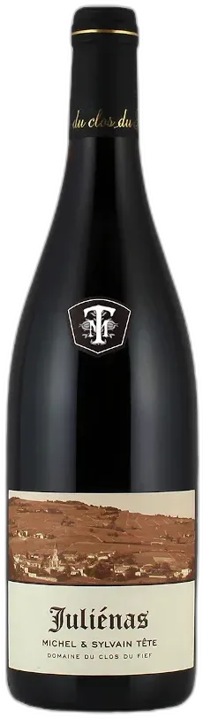 photo du vin Domaine le Clos du Fief Julienas Aop 2021 Rouge