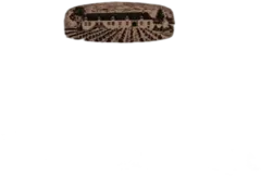 photo Clos de la Roche Grand Cru 2016 Dujac Rouge