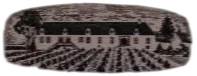 photo du vin Morey-Saint-Denis 2010 Dujac Rouge