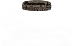 illustration du vin Morey-Saint-Denis 1er Cru 2015 Dujac Rouge