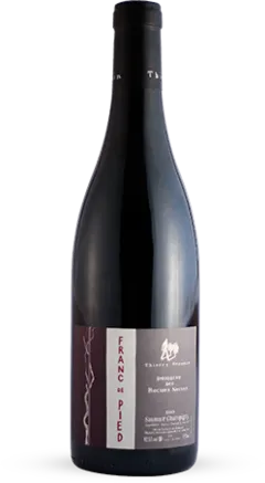 photo th. Germain Domaine des Roches Neuves Saumur Champigny Franc de Pied 2015