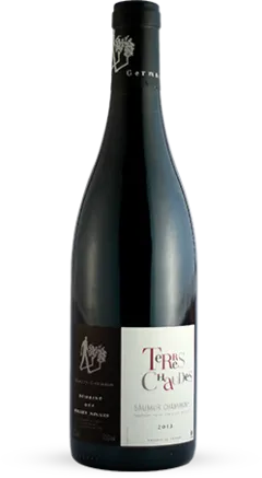 photo th. Germain Domaine des Roches Neuves Saumur Champigny Terres Chaudes 2018