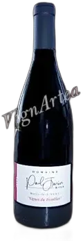 photo Vignes du Tremblay 2021