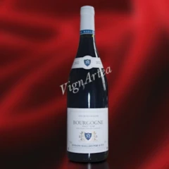 photo Bourgogne Pinot Noir 2022