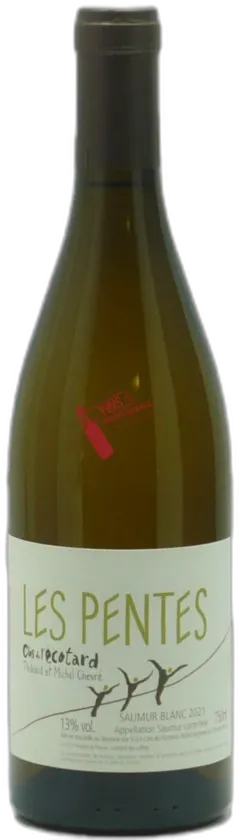 illustration du vin Clos de l Écotard Saumur les Pentes 2021