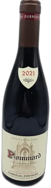 vue du vin Dubreuil Fontaine 1er Cru les Epenots