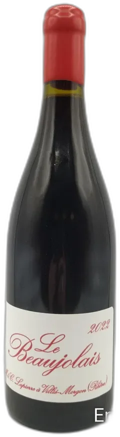 vue du vin Le Beaujolais