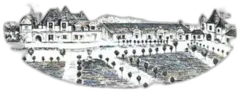 photo du vin Troplong Mondot
