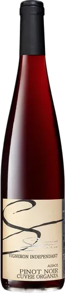 photo Pinot Noir, Domaine Stirn