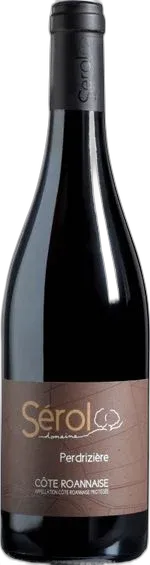 vue du vin Côte Roannaise Eclat de Granite