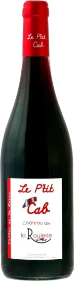 vue du vin Château de la Roulerie le p’Tit Cab