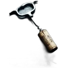 image du vin 5 Magazine des Raisins et des Hommes le Jajazine n° 9