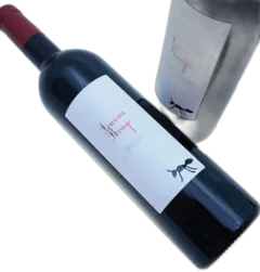 photo Perrin Fourmi Rouge Ventoux Rouge 2023