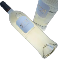 illustration du vin by Ott Blanc 2023