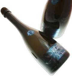 photo du vin Eric Bordelet Poiré Granit 2023