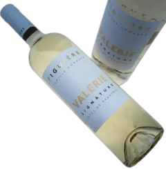vue du vin Figuière Signature Valérie Blanc 2024