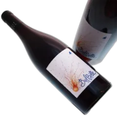 vue du vin Domaine Richaud Bulbille Côtes du Rhone Rouge 2024