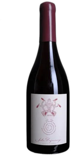 photos du vin Beaujolais Jules Desjourneys
