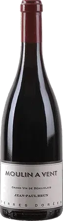photo Domaine des Terres Dorées Jean Paul Brun Moulin à Vent 2021