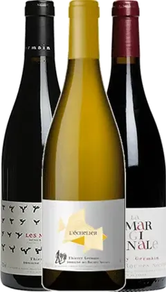 photo Thierry Germain Domaine des Roches Neuves Découverte