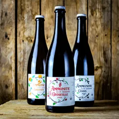 photo Brasserie Ammonite Vendanges