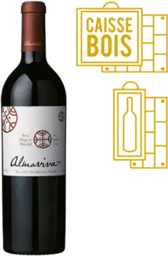image du vin Almaviva Puente Alto Valle de Maipo Chili Rouge 2017 Magnum 1 Magnum