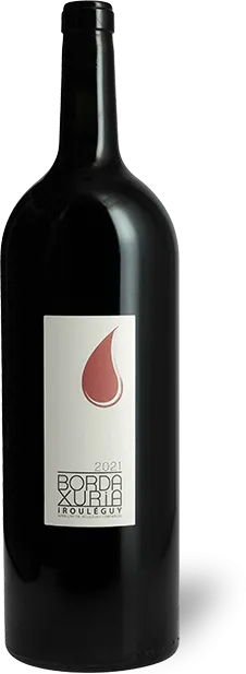 vue du vin Domaine Bordaxuria Irouléguy Rouge