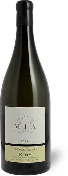 image du vin les Plantenays