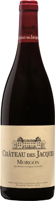 vue du vin Morgon Côte du py Vieilles Vignes Domaine Jacques Depagneux