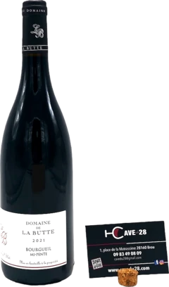 photo Bourgueil 2021 mi Pente Domaine de la Butte