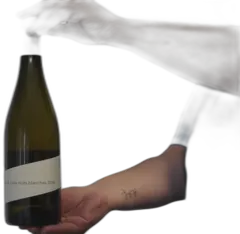 illustration du vin Une et Mille Nuits