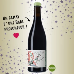 photo l'Oiseau de Passage Côte de Brouilly l'Ecluse 2022