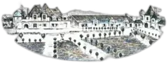 photo du vin Rauzan Segla