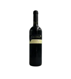 image du vin Sangiovese Terre de Chieti Vendemmia Rouge
