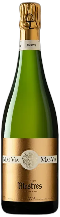 vue du vin Mestres Mas Via