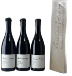 image du vin Caroline Morey, Santenay Premier Cru, les Cornieres