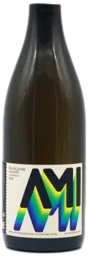 vue du vin Aligoté Ami