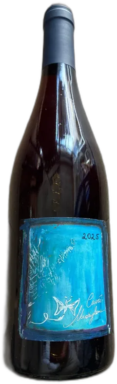 photo du vin Aoc Beaujolais Villages Cuvée Marylou Domaine Guy Breton