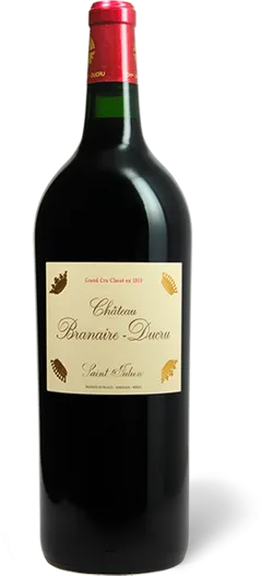 vue du vin Château Branaire Ducru 2010