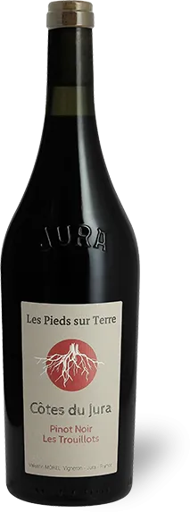 image du vin les Pieds Sur Terre