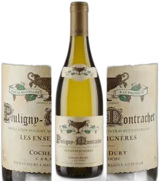 aperçu du vin les Enseignères
