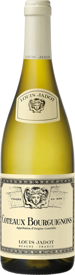 photo cã´Teaux Bourguignons Aoc Blanc Louis Jadot 2022