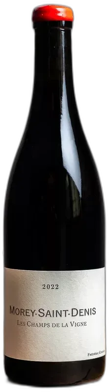 vue du vin Morey Saint Denis les Champs de la Vigne Qvevris Rouge