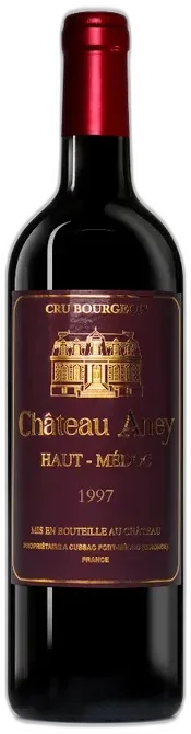 vue du vin Château Aney Haut-Médoc