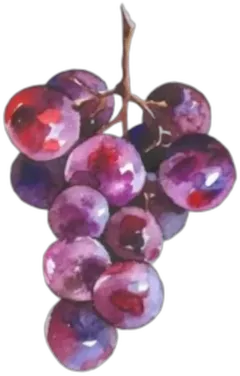 photo du vin Aux Brûlées