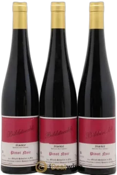 image du vin Alsace Pinot Noir Bildstoeckle Gérard Schueller